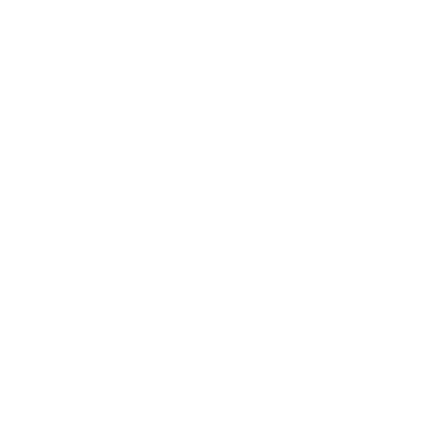 pianca and partners